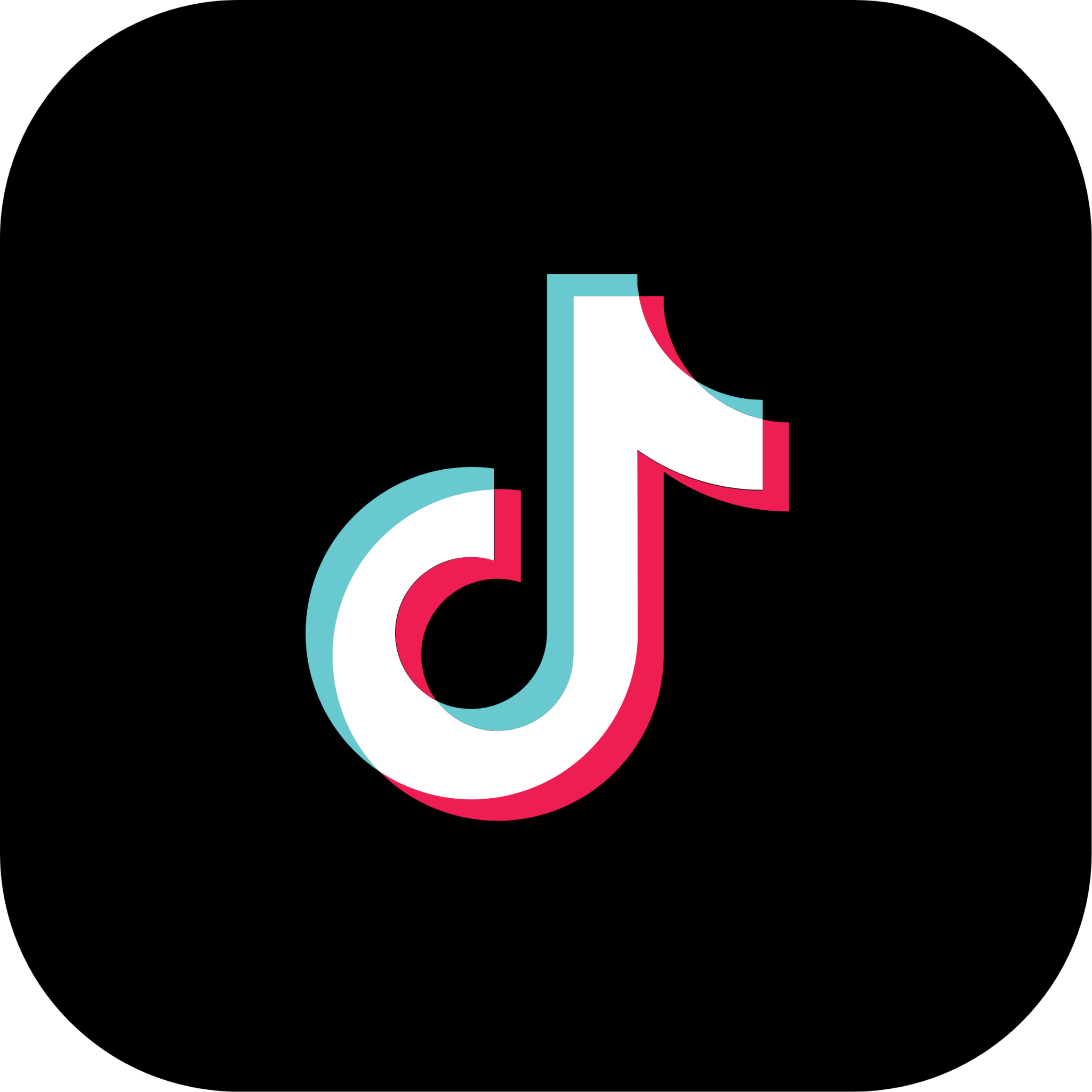 Tik Tok Paid Marketing Campaign Services